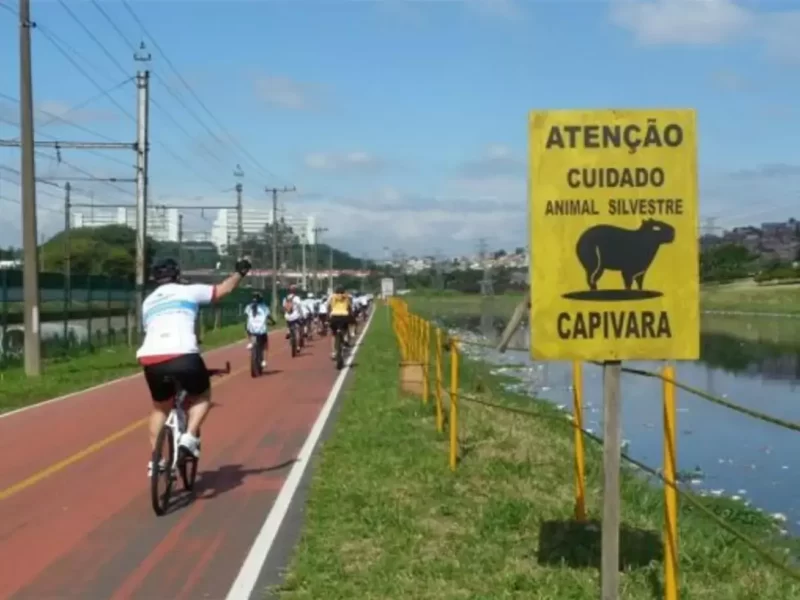 Shimano promove o Pedal das Capivaras neste sábado (28) e comemora o início da despoluição do Rio Pinheiros